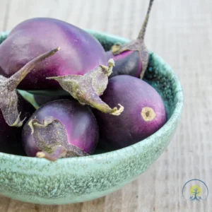 Cesto di melanzane fresche